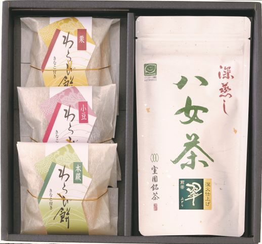 よっちゃん❗️コーヒー2個＆プレーン8個 ピッチャー 1.1L 茶こし付き ドリンクビオ 横置き プラスチック
